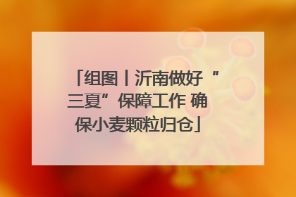 组图丨沂南做好“三夏”保障工作 确保小麦颗粒归仓