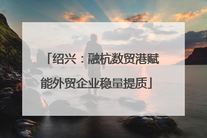 绍兴：融杭数贸港赋能外贸企业稳量提质