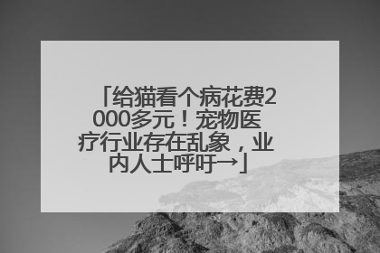 给猫看个病花费2000多元！宠物医疗行业存在乱象，业内人士呼吁→