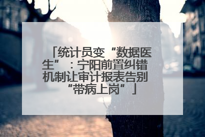 统计员变“数据医生”：宁阳前置纠错机制让审计报表告别“带病上岗”