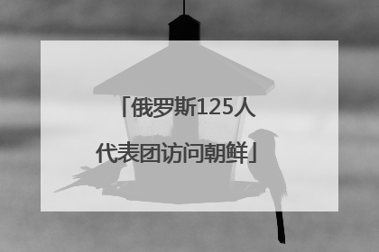 俄罗斯125人代表团访问朝鲜