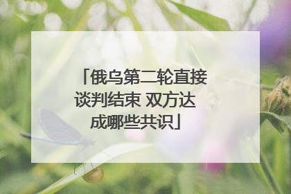 俄乌第二轮直接谈判结束 双方达成哪些共识