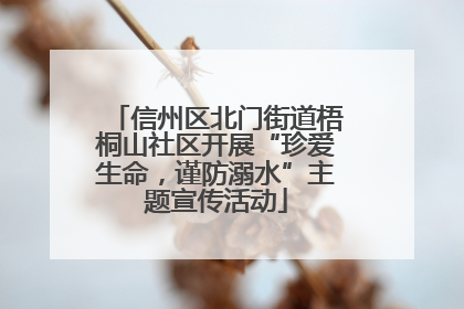 信州区北门街道梧桐山社区开展“珍爱生命，谨防溺水”主题宣传活动