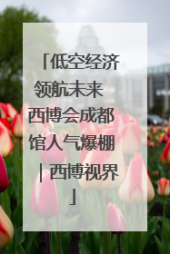 低空经济领航未来 西博会成都馆人气爆棚｜西博视界