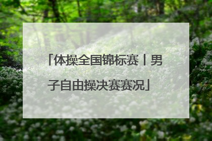 体操全国锦标赛丨男子自由操决赛赛况