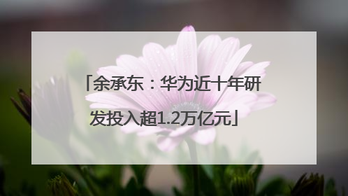 余承东：华为近十年研发投入超1.2万亿元