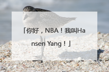 你好，NBA！我叫Hansen Yang！