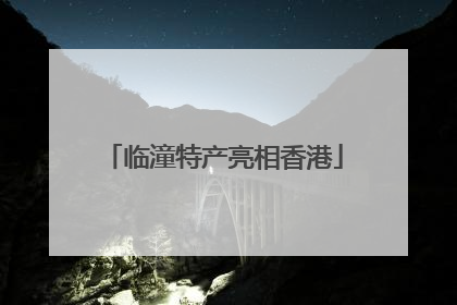 临潼特产亮相香港