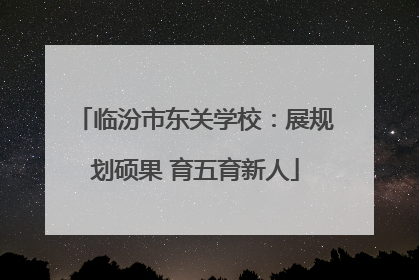 临汾市东关学校：展规划硕果 育五育新人