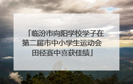 临汾市向阳学校学子在第二届市中小学生运动会田径赛中喜获佳绩