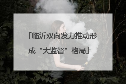 临沂双向发力推动形成“大监督”格局