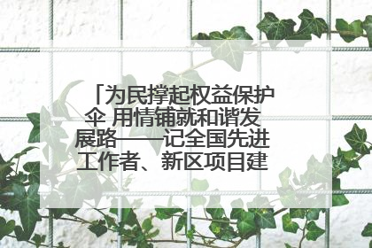 为民撑起权益保护伞 用情铺就和谐发展路——记全国先进工作者、新区项目建设中心干部卢小勇