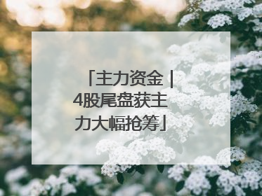 主力资金｜4股尾盘获主力大幅抢筹