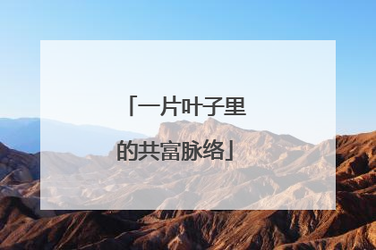 一片叶子里的共富脉络