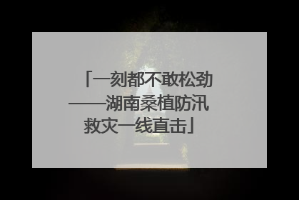 一刻都不敢松劲——湖南桑植防汛救灾一线直击