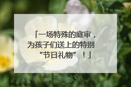 一场特殊的庭审，为孩子们送上的特别“节日礼物”！
