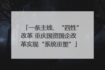 一条主线、“四性”改革 重庆国资国企改革实现“系统重塑”