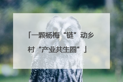 一颗杨梅“链”动乡村“产业共生圈”