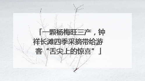 一颗杨梅旺三产，钟祥长滩四季采摘带给游客“舌尖上的惊喜”