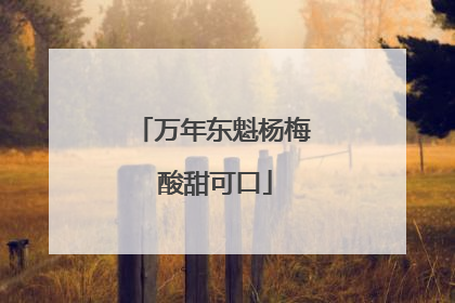 万年东魁杨梅 酸甜可口