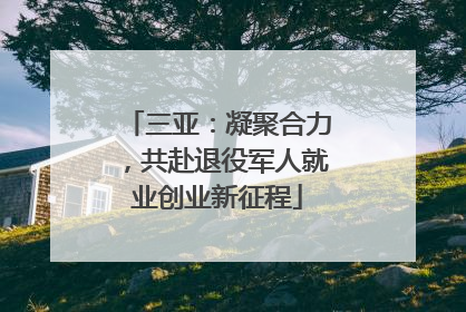 三亚：凝聚合力，共赴退役军人就业创业新征程