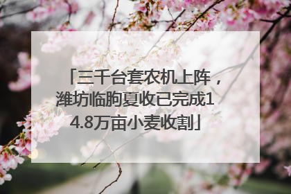 三千台套农机上阵，潍坊临朐夏收已完成14.8万亩小麦收割