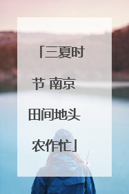 三夏时节 南京田间地头农作忙