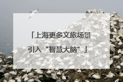 上海更多文旅场景引入“智慧大脑”