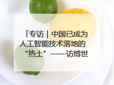 专访｜中国已成为人工智能技术落地的“热土”——访博世集团董事会主席斯特凡·哈通