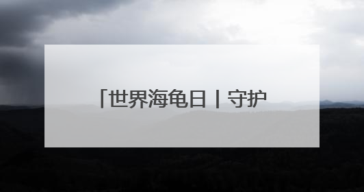 世界海龟日丨守护世界最大海龟产卵 特多“守夜人”坚守海滩30多年