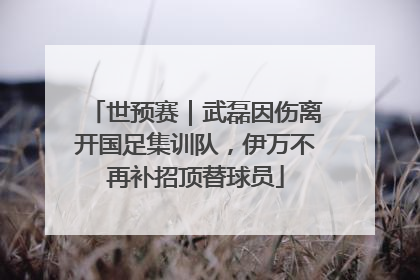 世预赛｜武磊因伤离开国足集训队，伊万不再补招顶替球员