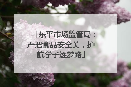 东平市场监管局：严把食品安全关，护航学子逐梦路