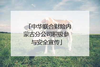 中华联合财险内蒙古分公司积极参与安全宣传