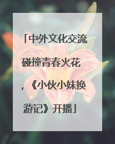 中外文化交流 碰撞青春火花，《小伙小妹换游记》开播