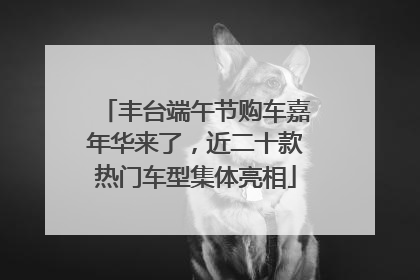 丰台端午节购车嘉年华来了，近二十款热门车型集体亮相