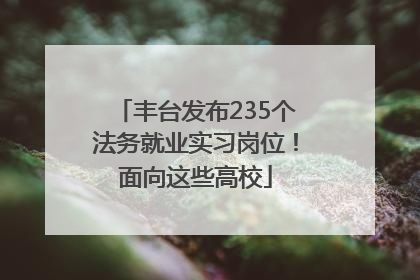 丰台发布235个法务就业实习岗位！面向这些高校