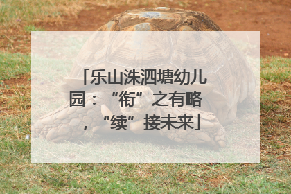 乐山洙泗塘幼儿园：“衔”之有略，“续”接未来