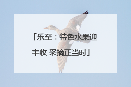 乐至：特色水果迎丰收 采摘正当时