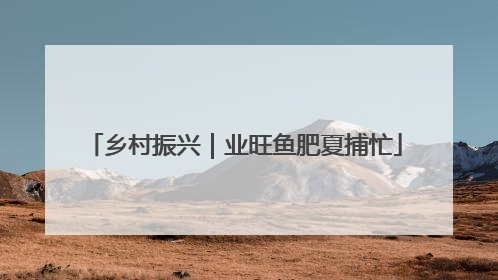 乡村振兴｜业旺鱼肥夏捕忙