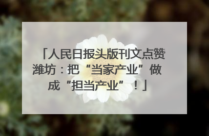 人民日报头版刊文点赞潍坊：把“当家产业”做成“担当产业”！