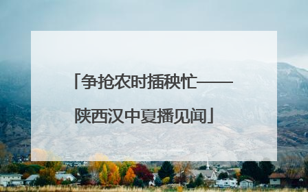 争抢农时插秧忙——陕西汉中夏播见闻