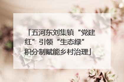 五河东刘集镇“党建红”引领“生态绿” 积分制赋能乡村治理
