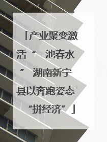产业聚变激活“一池春水” 湖南新宁县以奔跑姿态“拼经济”