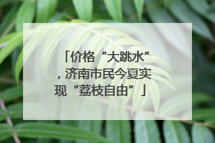 价格“大跳水”，济南市民今夏实现“荔枝自由”
