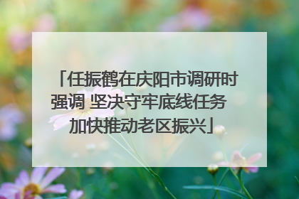 任振鹤在庆阳市调研时强调 坚决守牢底线任务 加快推动老区振兴