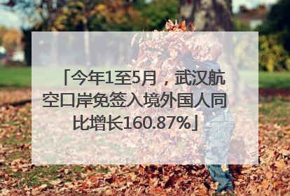 今年1至5月，武汉航空口岸免签入境外国人同比增长160.87%
