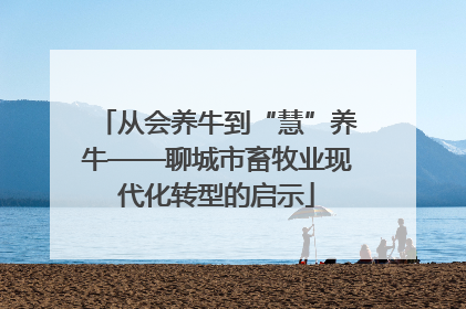 从会养牛到“慧”养牛——聊城市畜牧业现代化转型的启示