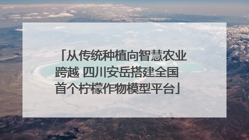 从传统种植向智慧农业跨越 四川安岳搭建全国首个柠檬作物模型平台