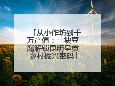从小作坊到千万产值：一块豆腐解锁昆明呈贡乡村振兴密码