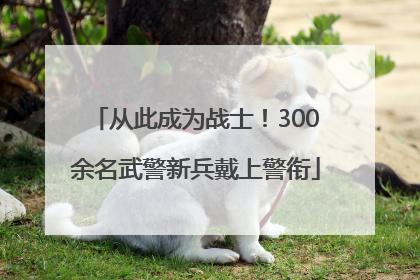 从此成为战士！300余名武警新兵戴上警衔